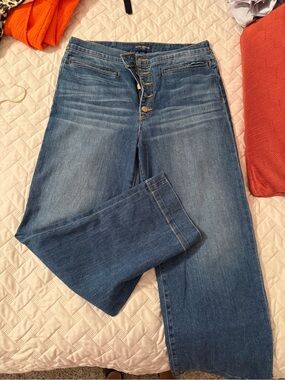 Ramy Brook Wide-Leg Button-Fly Jeans in Blue